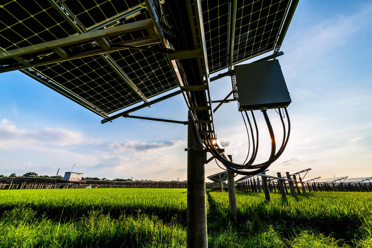 Automação Rural com Energia Solar